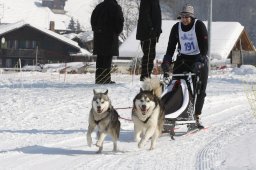 Lenk 2012 SM